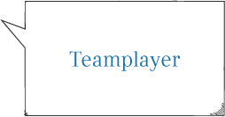 Teamplayer.